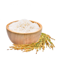 فطریه عام